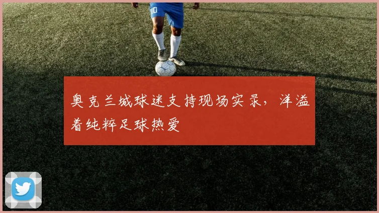 奥克兰城球迷支持现场实录，洋溢着纯粹足球热爱