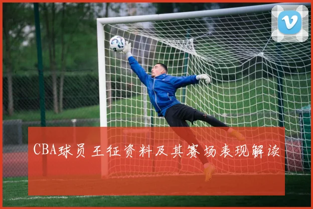 CBA球员王征资料及其赛场表现解读