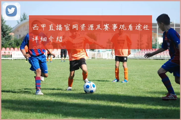 西甲直播官网资源及赛事观看途径详细介绍